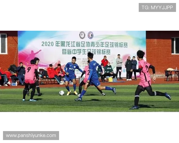 足球明星的球品与职业道德对运动员形象的深远影响分析 足球明星的球品与职业道德对运动员形象的深远影响分析