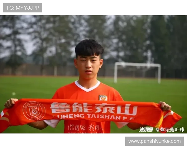 南京羽毛球队以88分稳居精英赛积分榜首位展现强劲实力